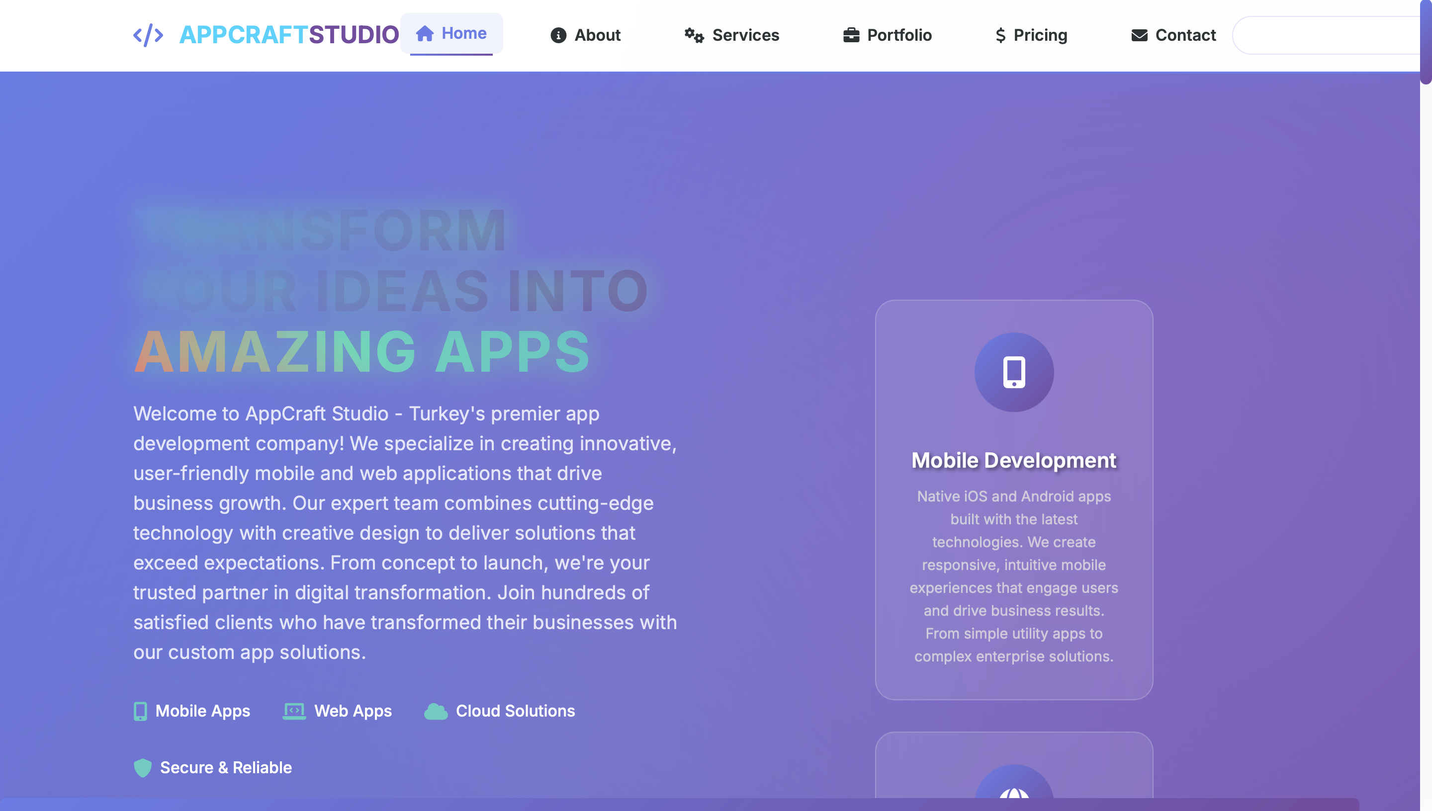 E-commerce White Page Example 2